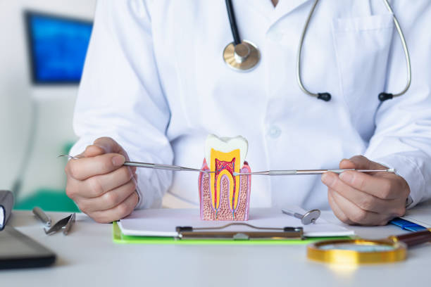 Best Emergency Root Canal Therapy in Canyonville, OR